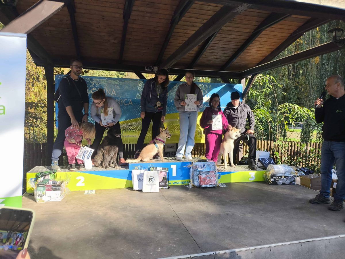 Ix Trzebnickie Zawody W Dogtrekingu 1