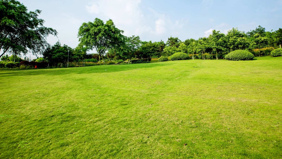 Magiczne Ogrody Kozacki 2