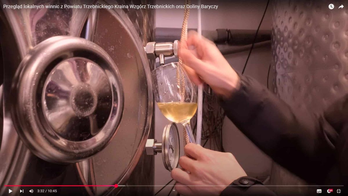 Przegląd Lokalnych Winnica Powiatu Trzebnickiego